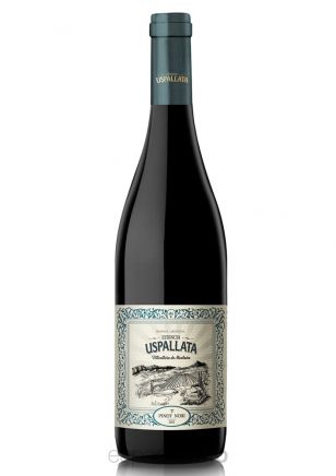 Estancia Uspallata Pinot Noir