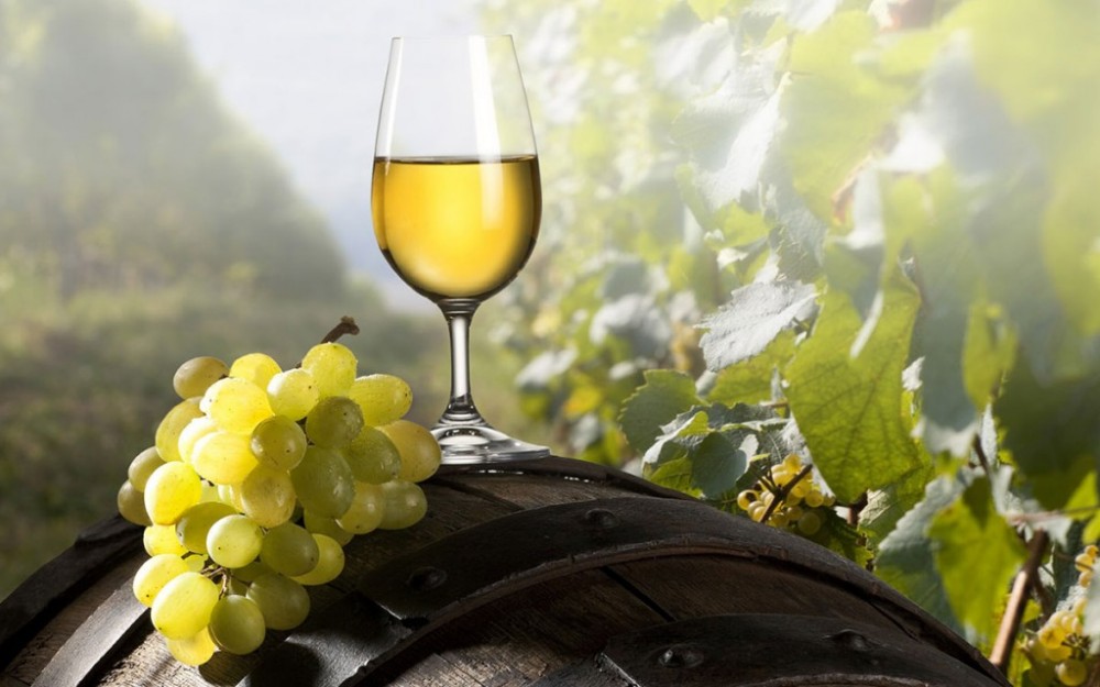 Guía de compras: 15 vinos blancos súper frescos e ideales para arrancar el 2018