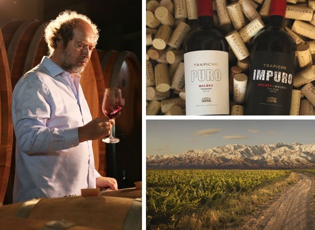 Por qué Trapiche se vuelve a posicionar como la marca de vinos de Argentina más admirada a nivel global
