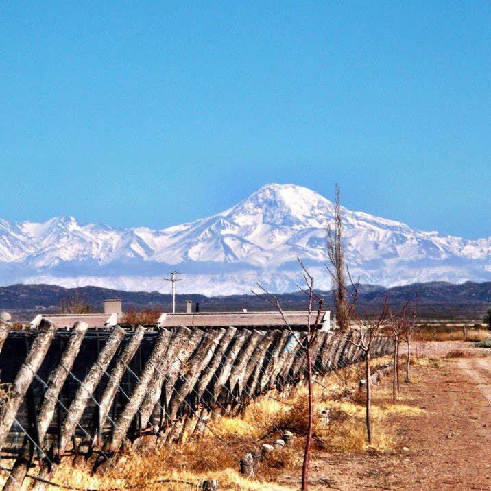 Alpamanta