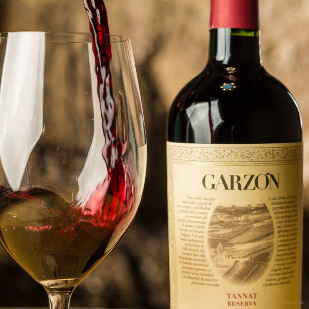 Garzón