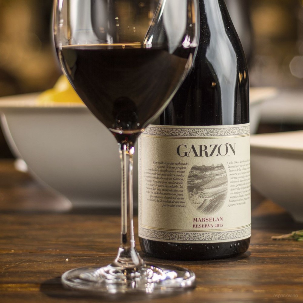 Garzón