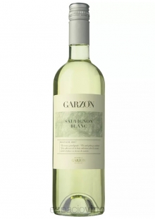 Garzón Estate Sauvignon Blanc