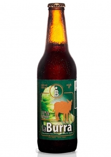 Me Echó La Burra IPA