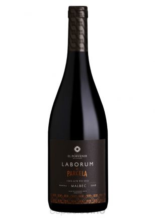 Laborum de Parcela Malbec Finca Alto Río Seco