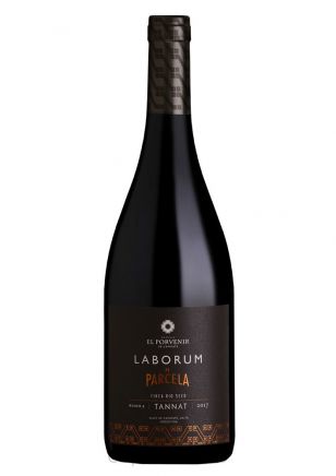 Laborum de Parcela Tannat Finca Río Seco