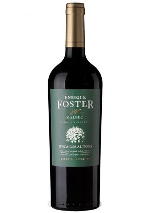 Enrique Foster Single Vineyard Los Altepes Malbec