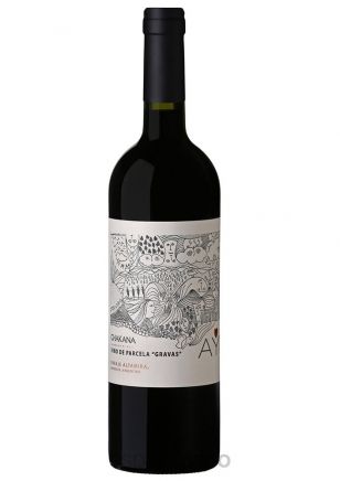 Ayni Parcela Gravas Malbec