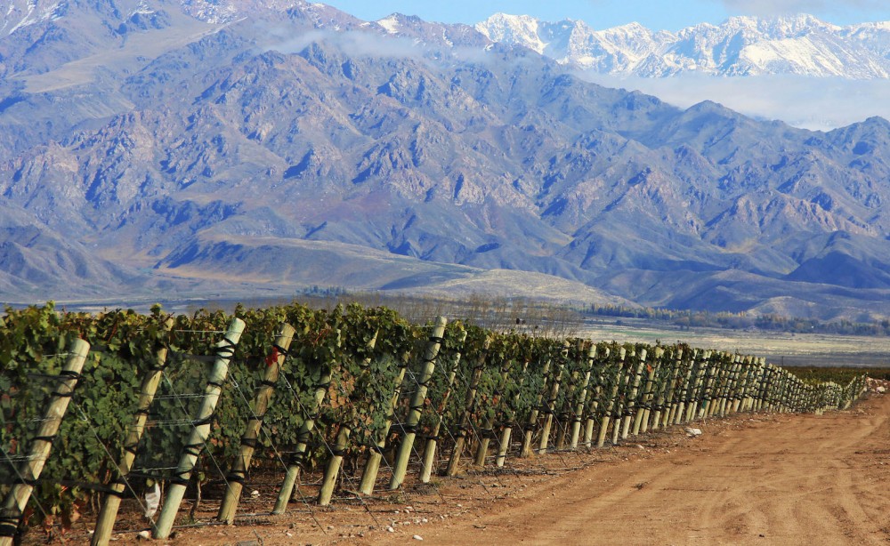 Apelación de origen, la nueva tendencia que denota la identidad de los vinos argentinos