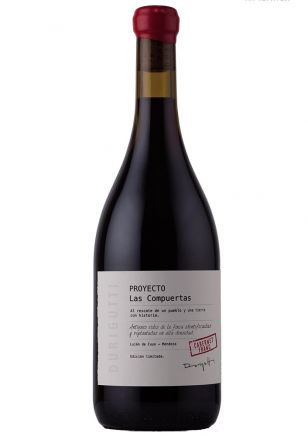 Proyecto Las Compuertas Cabernet Franc