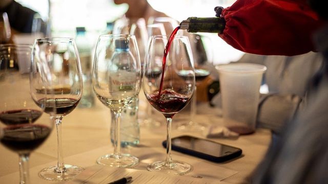 Estos son 10 de los mejores vinos argentinos, según el voto de enólogos