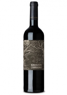 Callejón de las Brujas Petit Verdot