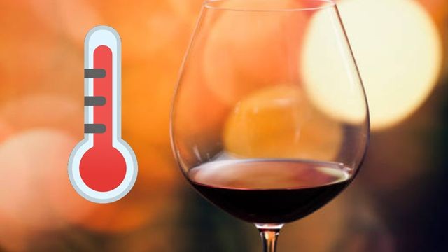 ¿Hace calor?: vinos tintos perfectos para disfrutar en verano