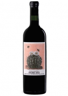 Riccitelli Valle de Uco Malbec