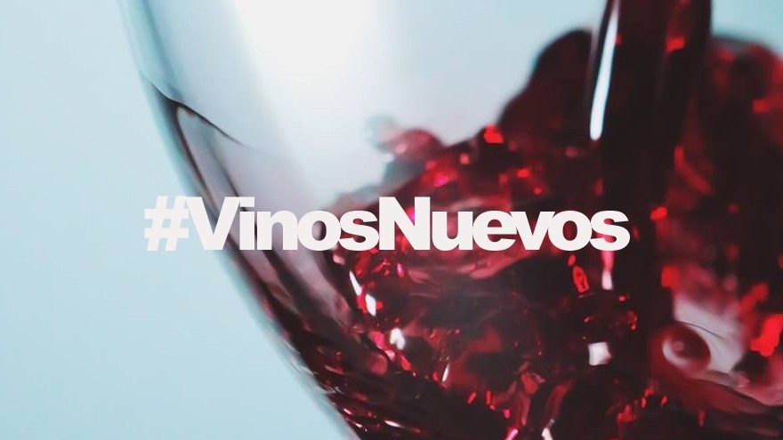 5 nuevísimos y buenos vinos para descubrir en cuarentena, más allá del Malbec