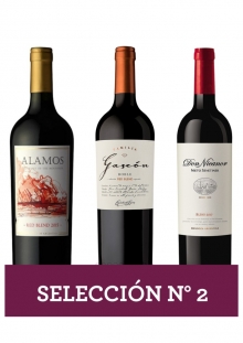 Selección Nro 2 - Blend Joven 3x750 ml
