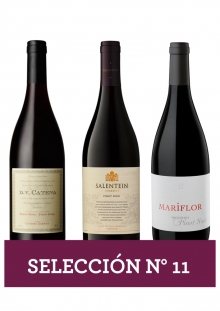 Selección Nro 11 - Pinot Noir Madera 3x750 ml