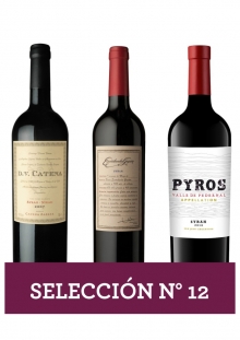 Selección Nro 12 - Syrah Madera 3x750 ml