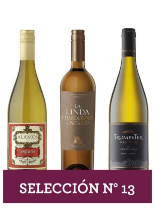 Selección Nro 13 - Chardonnay Joven 3x750 ml