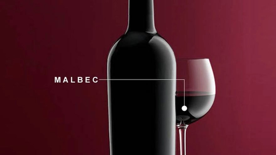 En el mes del Malbec, 5 enólogos recomiendan 5 vinos para entender el ADN de la cepa emblema