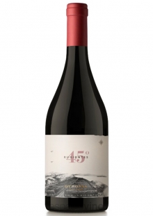 Otronia 45 Rugientes Pinot Noir