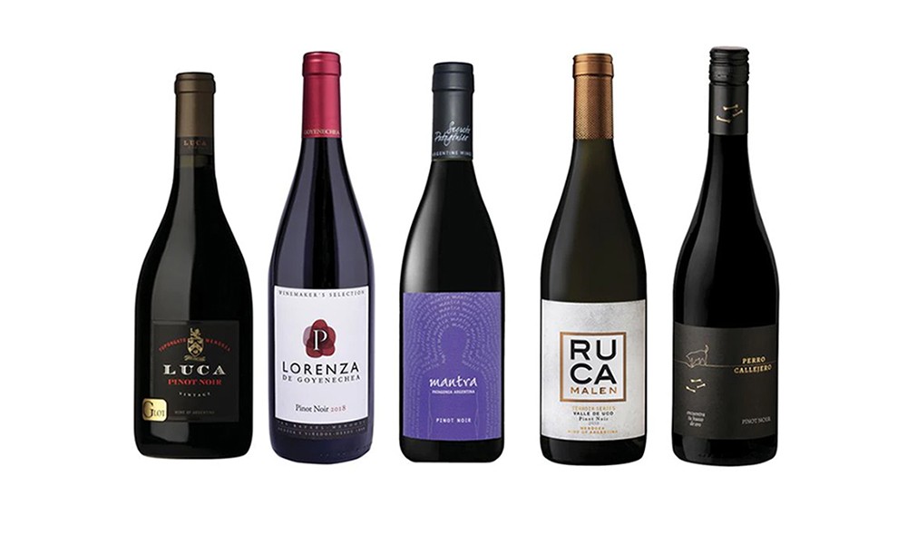 Vinos: qué etiquetas probar si querés conocer el Pinot Noir