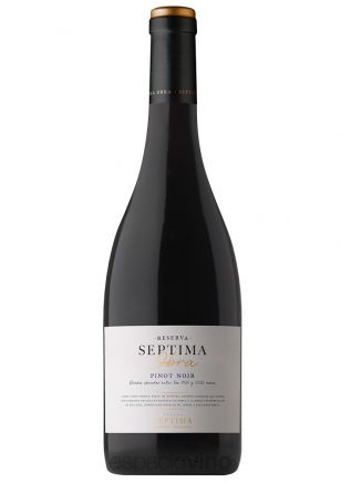 Séptima Obra Pinot Noir