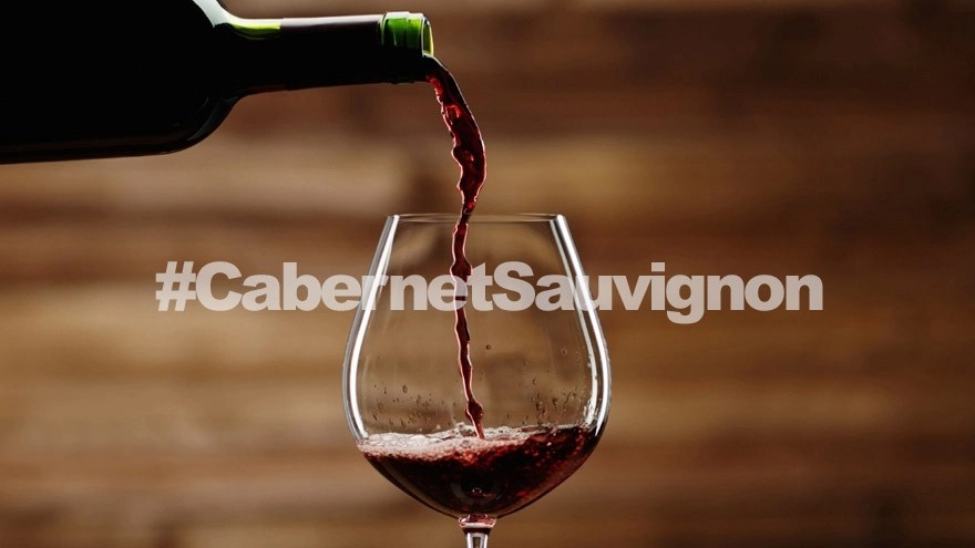 Esto es lo que tenés que saber del Cabernet Sauvignon argentino (y 12 vinos que debés probar)