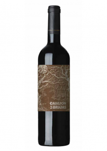 Callejón de las Brujas Malbec