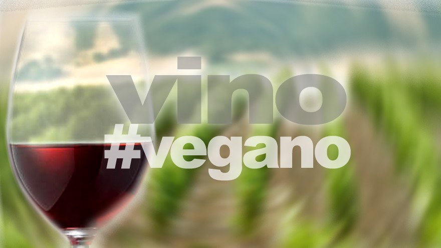 Todo lo que debés saber sobre los vinos para veganos: ¿cómo son y de qué manera se elaboran?