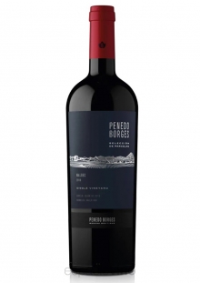 Penedo Borges Selección de Parcelas Malbec