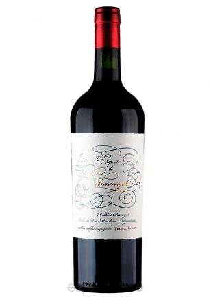 Chacayes Esprit Malbec