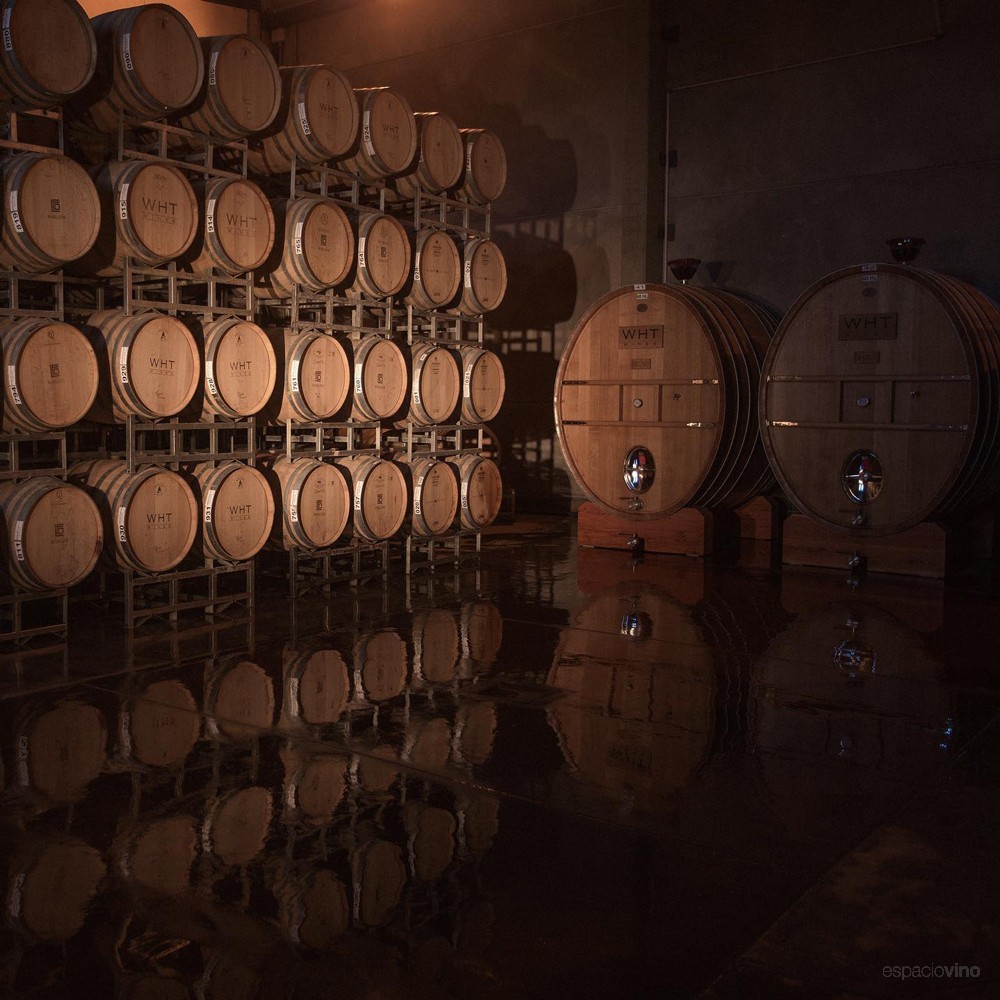 Huarpe Wines
