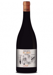 Pie de Monte Malbec Finca Ruano