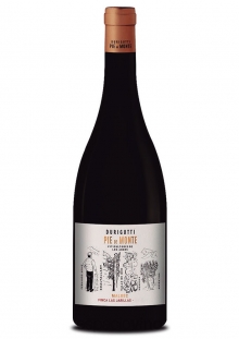 Pie de Monte Malbec Finca Las Jarillas