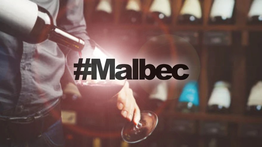 8 vinos Malbec de alta gama que tenés que probar