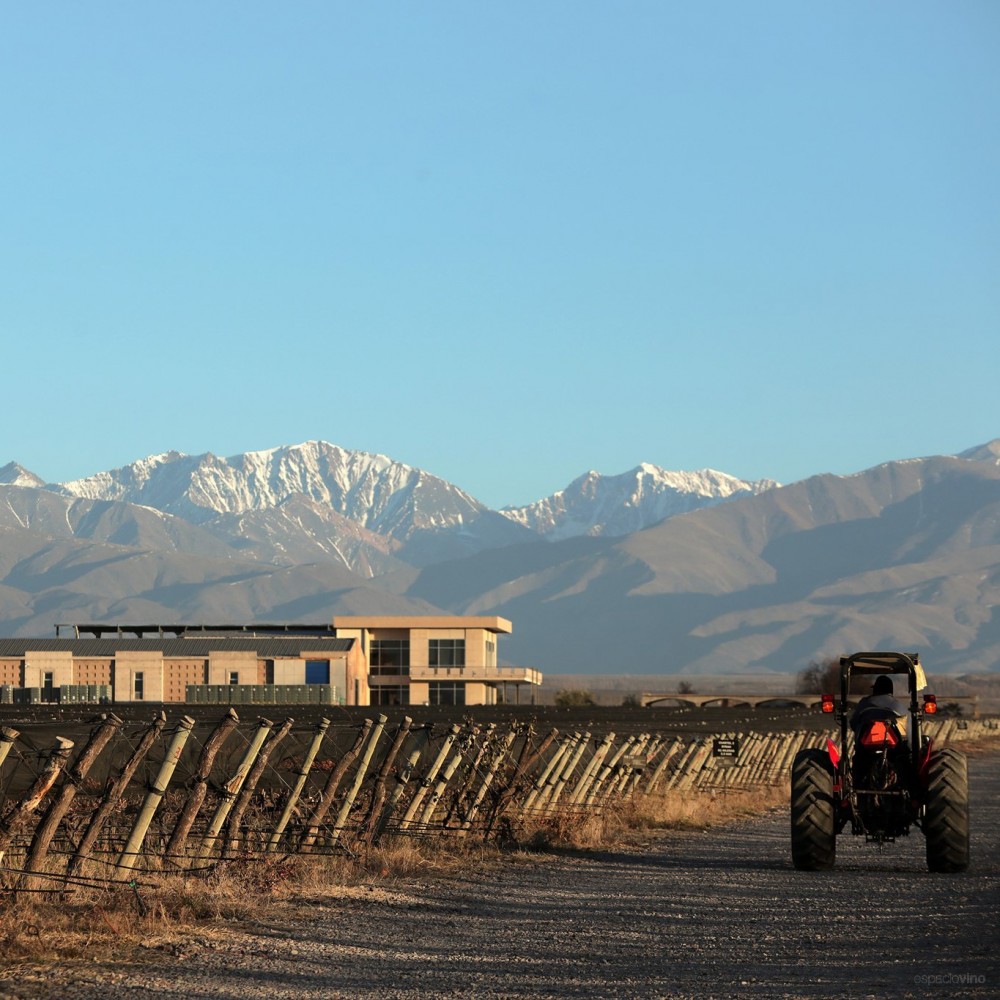 Domaine Bousquet