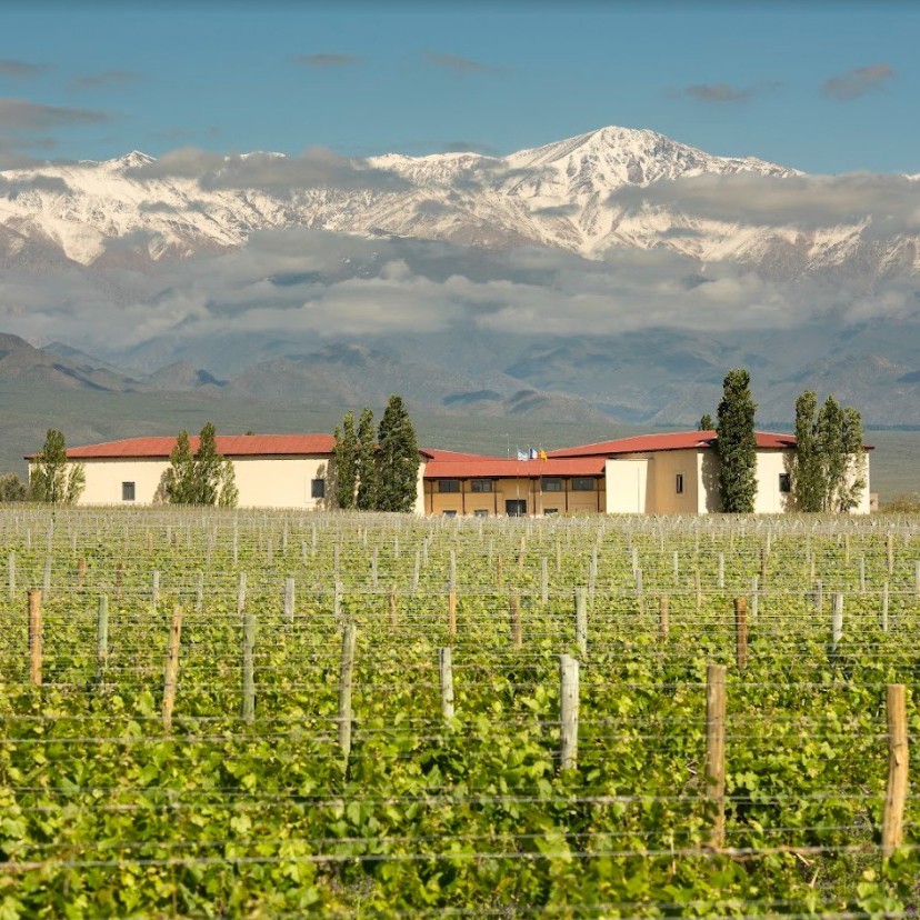 Cuvelier Los Andes