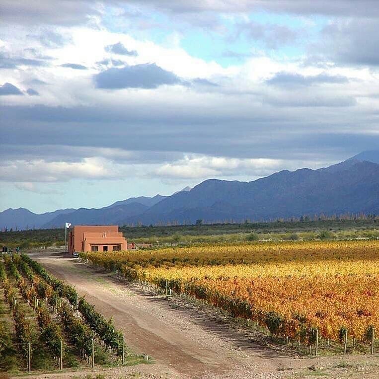 Clos de los Siete