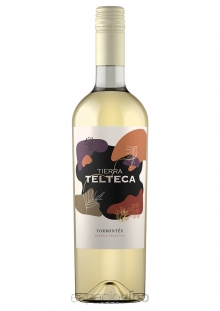 Telteca Tierra Torrontés