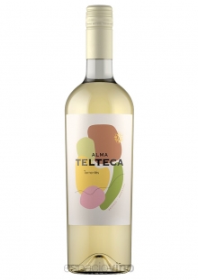 Telteca Alma Torrontés