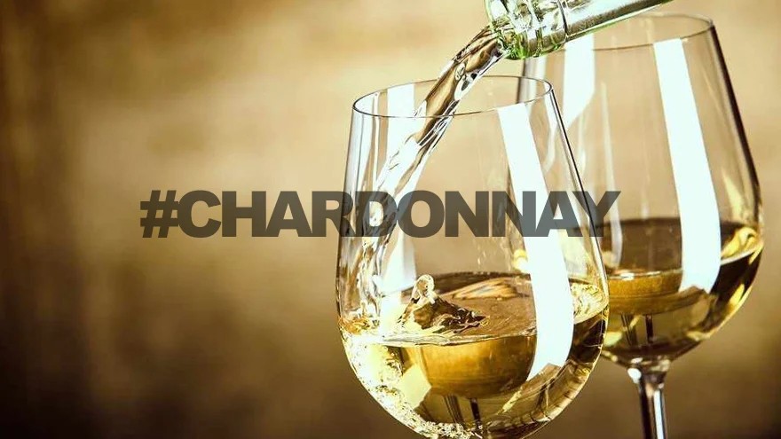 Día del Chardonnay: cómo es la guerra de estilos y vinos de diferentes precios para descubrir