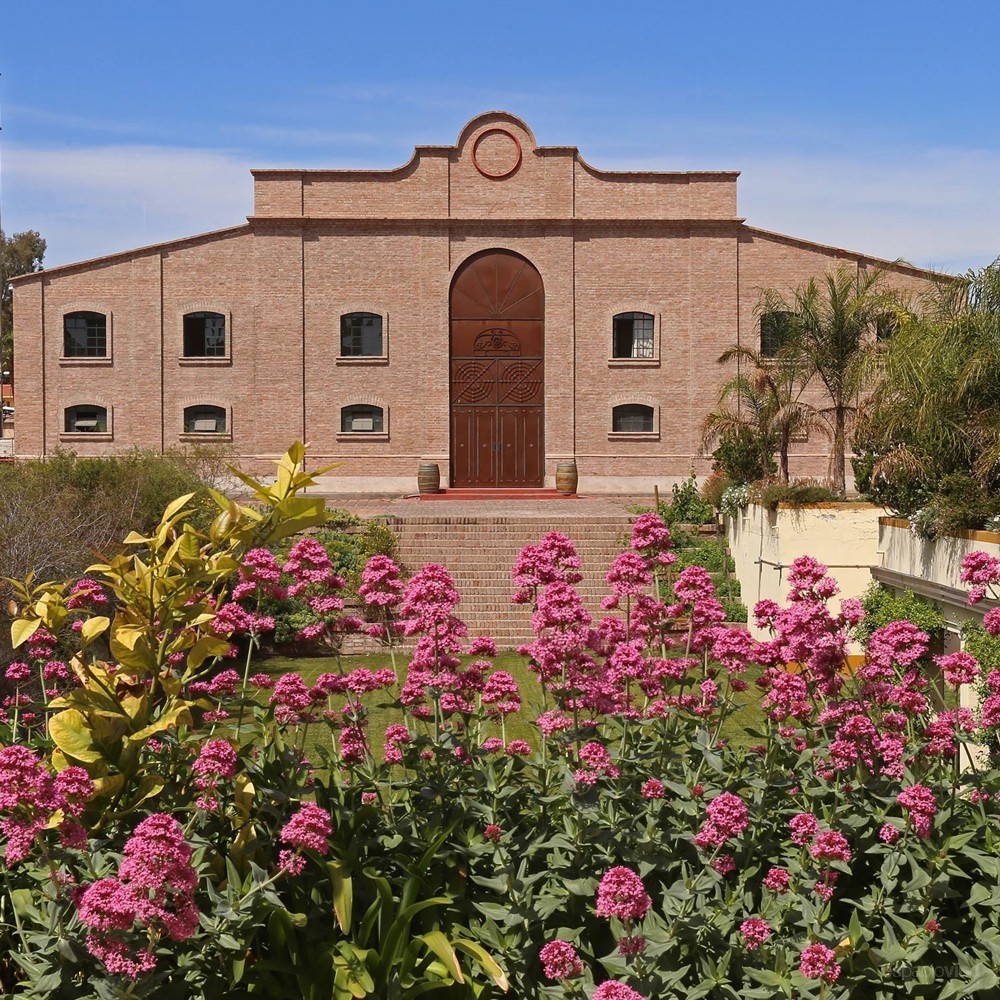 Escorihuela Gascón