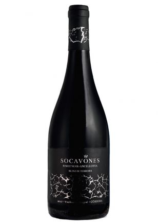 Socavones Pinot Noir Ancellotta
