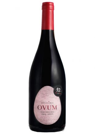 Socavones Ovum Reserva Malbec