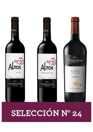 Selección Nro 24 - Terrazas de los Andes 3x750 ml