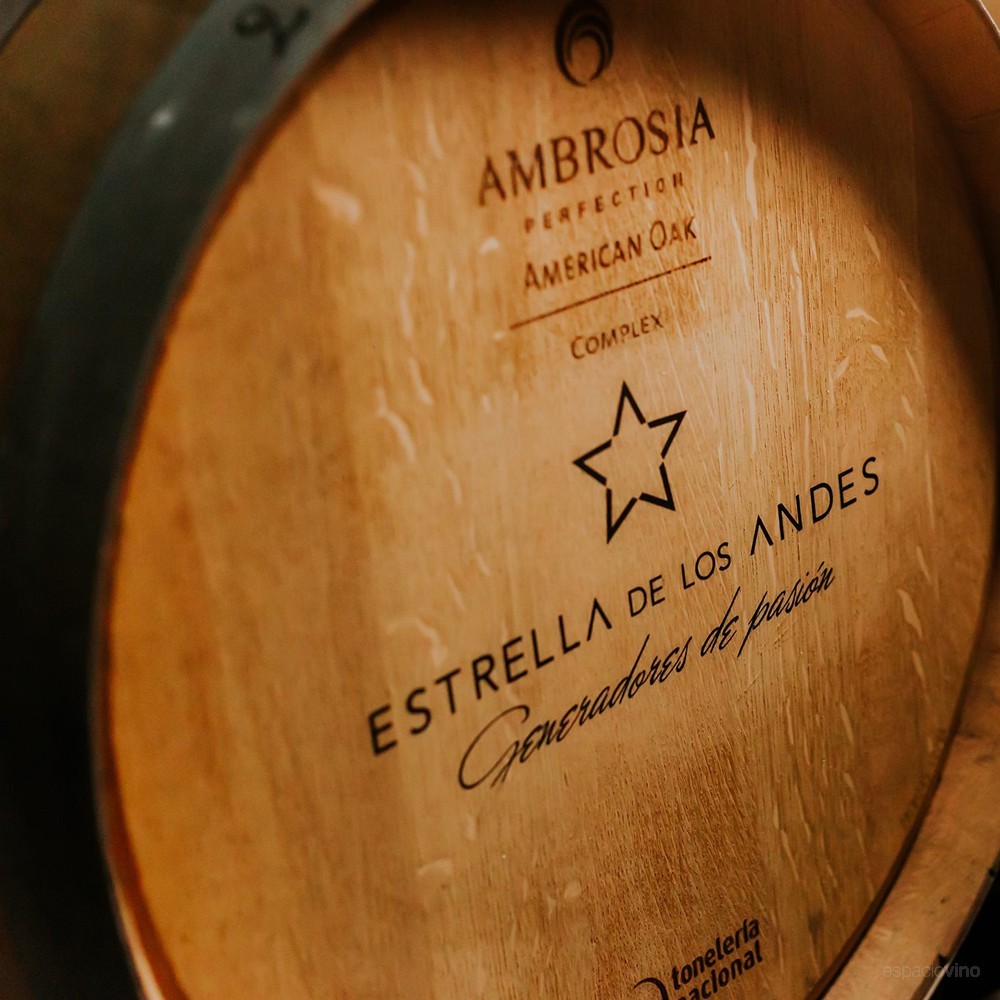 Estrella de los Andes