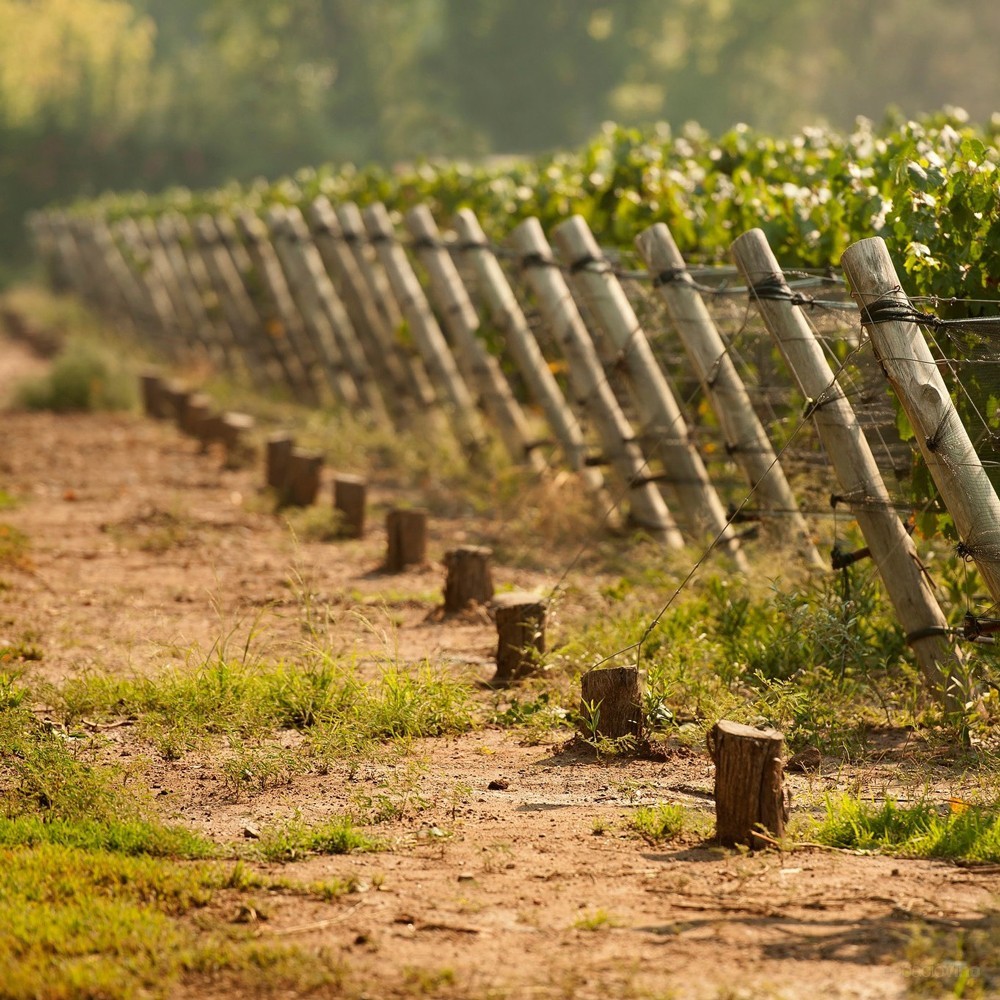 Clos de Chacras