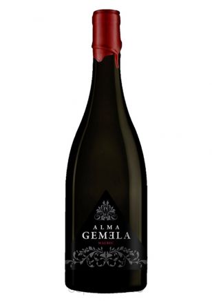 Alma Gemela Malbec Chacayes