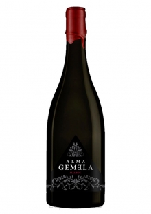 Alma Gemela Malbec Chacayes